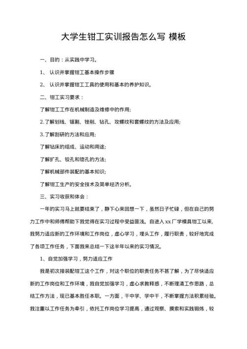 大学生钳工实训报告怎么写 word文档下载