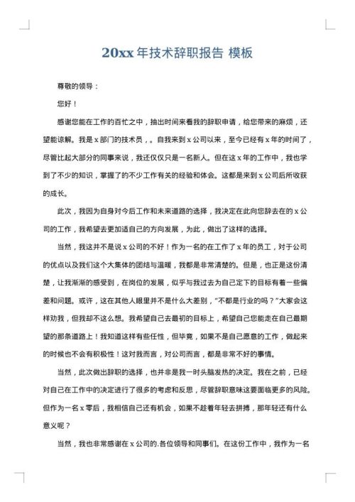 2025年技术辞职报告
