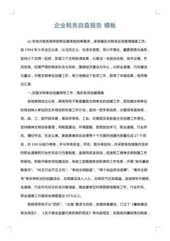 企业税务自查报告