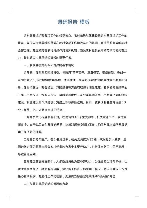 调研报告