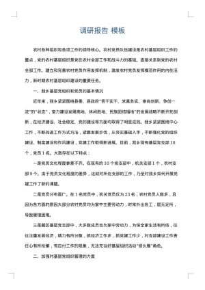 调研报告