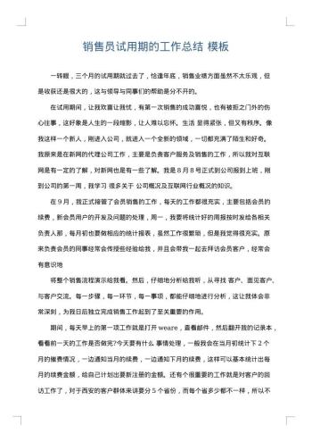 销售员试用期的工作总结