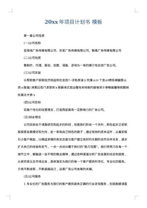 2025年项目计划书