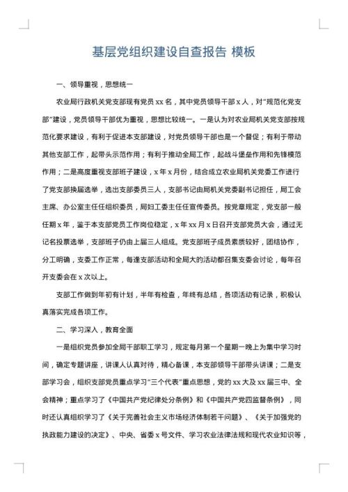 基层党组织建设自查报告
