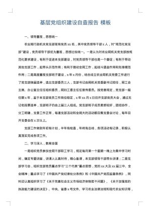 基层党组织建设自查报告