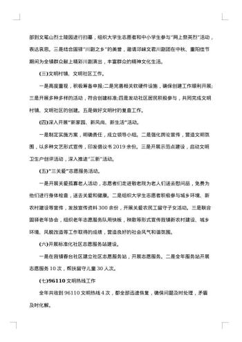 精神文明自查报告