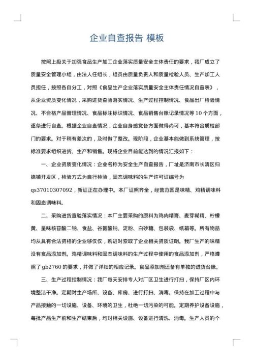 企业自查报告