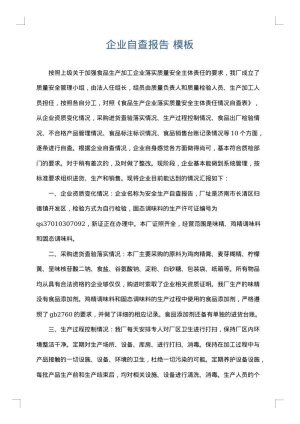 企业自查报告