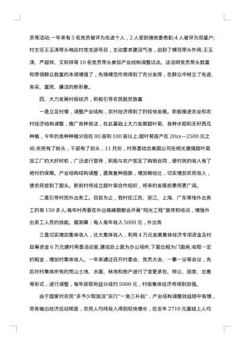 村支书述职述廉报告