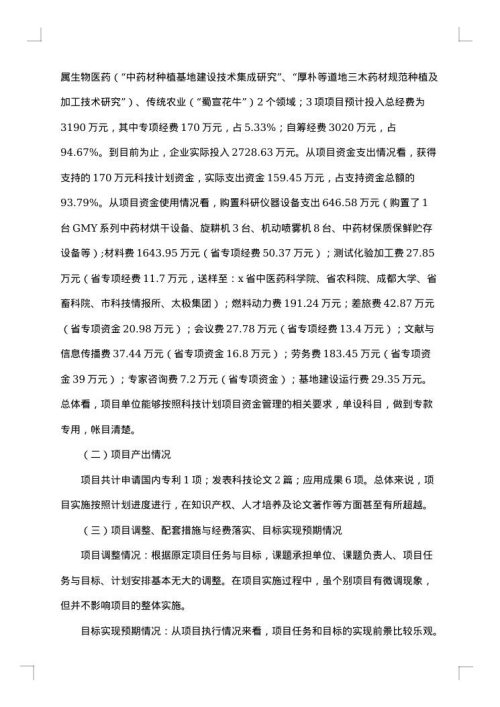 项目管理自查报告