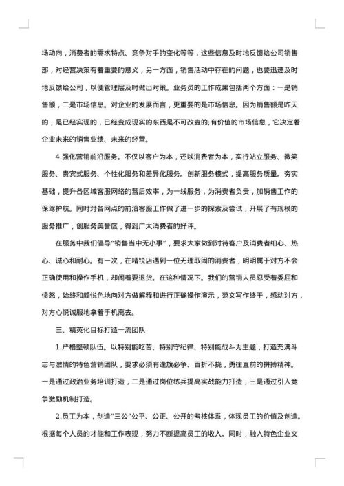 2025年手机销售总结