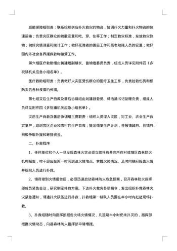 清明节期间森林防火工作方案