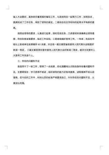 预备党员一年总结