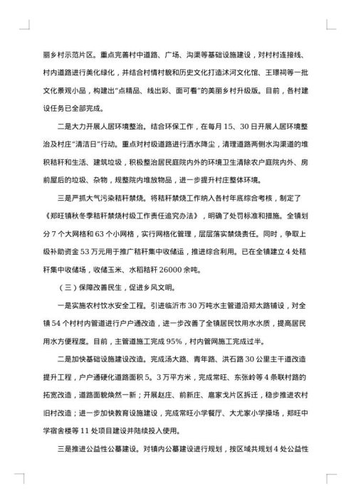 2025年乡村振兴专干工作总结