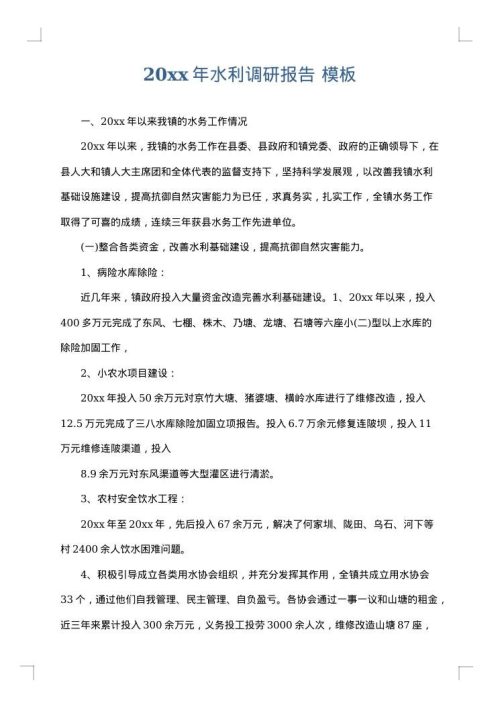 2025年水利调研报告