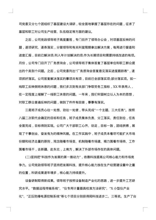 2025年党委书记述职报告