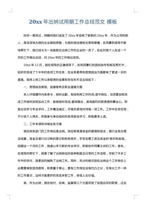 2025年出纳试用期工作总结范文