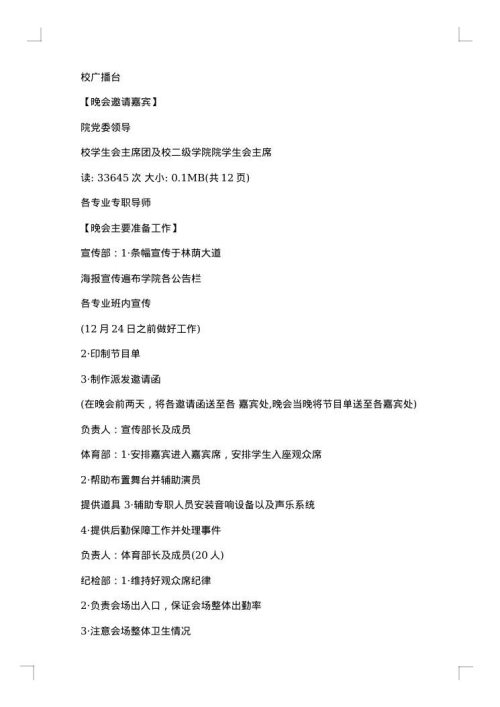 2025年大学生元旦晚会策划书范文