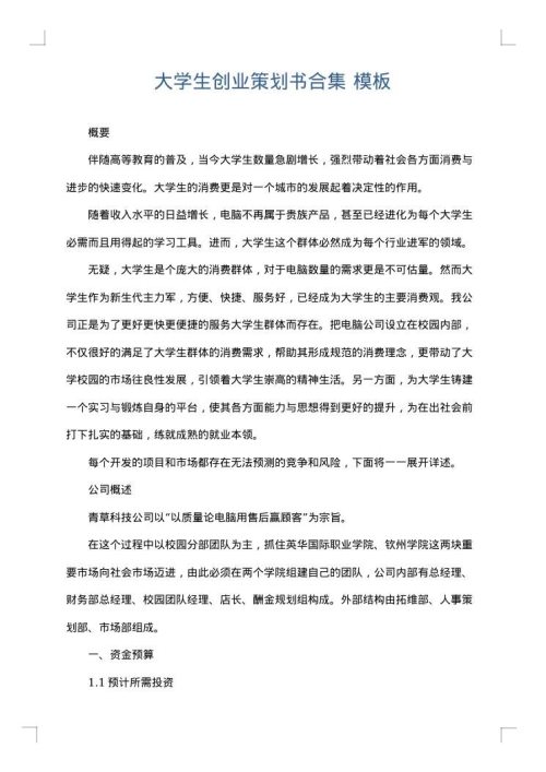 大学生创业策划书合集