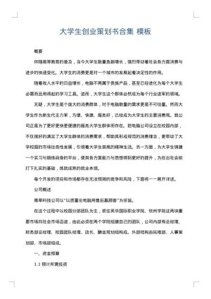 大学生创业策划书合集
