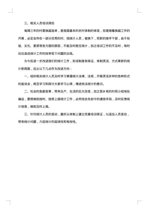 自检自查报告