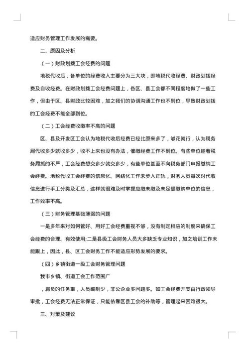 财务自查报告