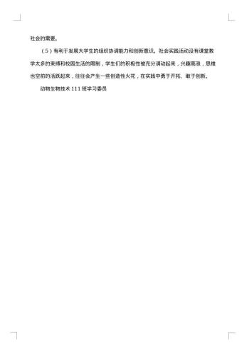 社会调查报告1000字
