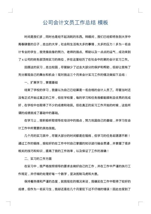 公司会计文员工作总结