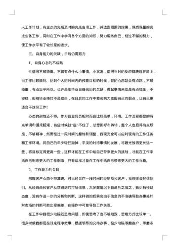 销售员个人工作总结范文