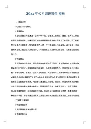 2025年公司调研报告