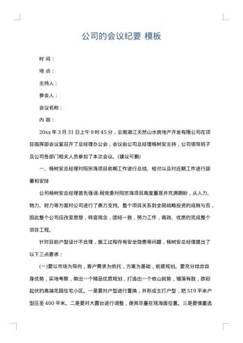 公司的会议纪要