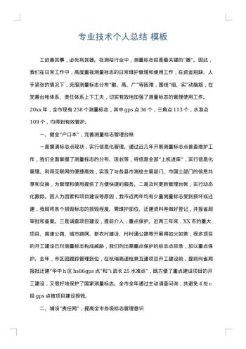 专业技术个人总结