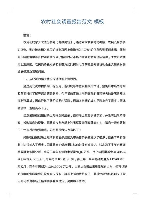 农村社会调查报告范文