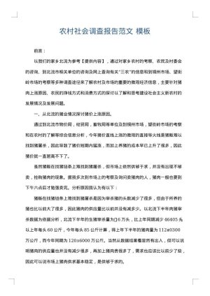 农村社会调查报告范文