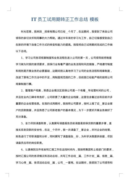 IT员工试用期转正工作总结