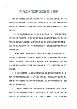 IT员工试用期转正工作总结