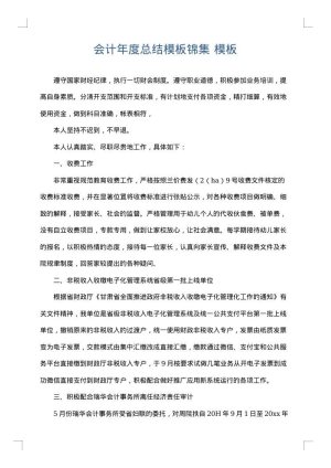 会计年度总结模板锦集