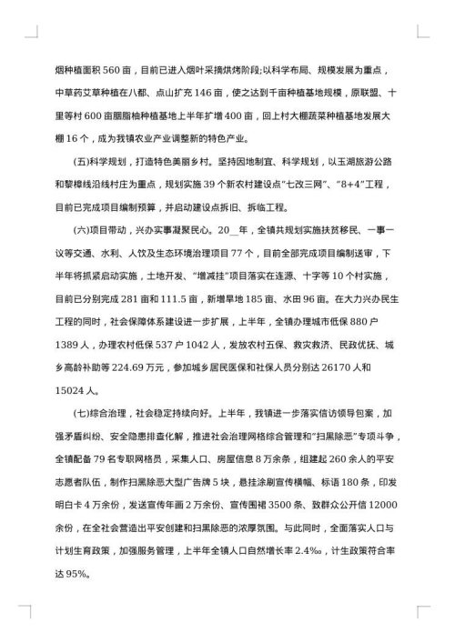 2025年上半年工作总结及下半年计划