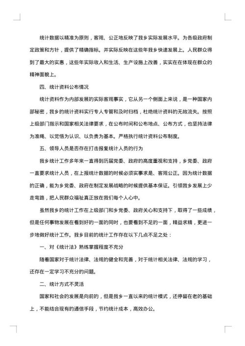 自检自查报告