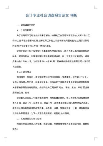 会计专业社会调查报告范文