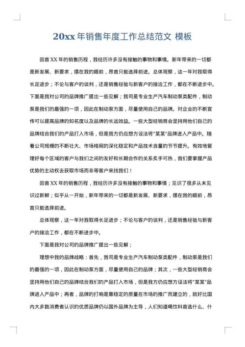 2025年销售年度工作总结范文
