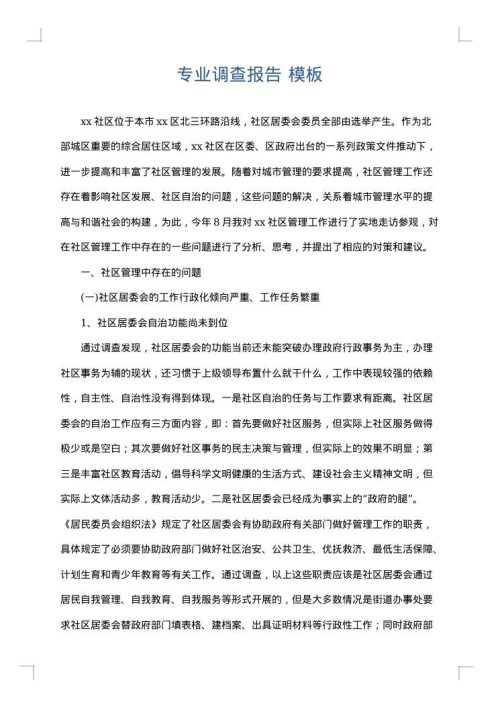 专业调查报告