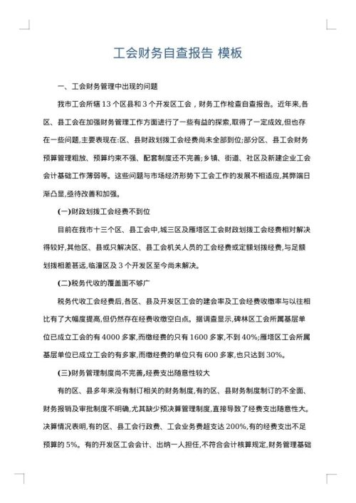 工会财务自查报告