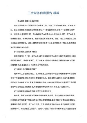 工会财务自查报告