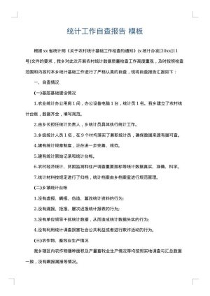 统计工作自查报告