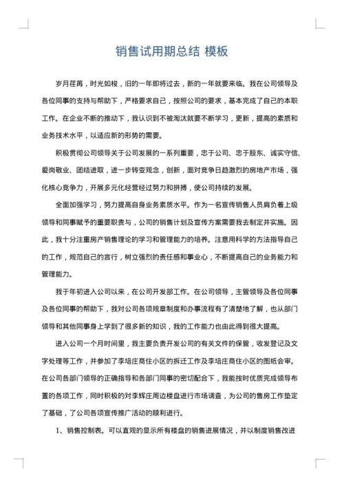 销售试用期总结