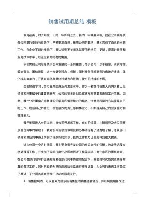 销售试用期总结