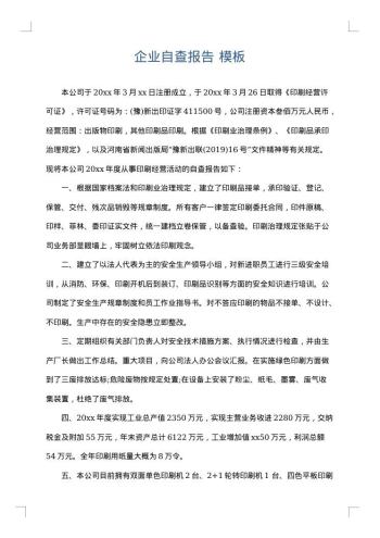 企业自查报告