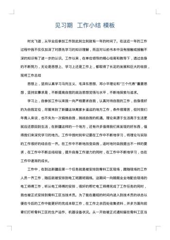 见习期 工作小结