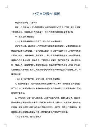 公司自查报告